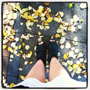 c31686b00af711e1abb01231381b65e3_6