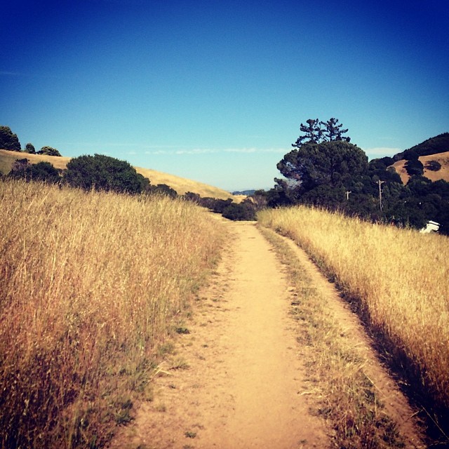 10358243_834905323208766_1688039372_n