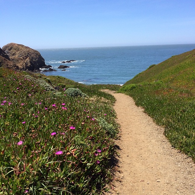 10358257_631696700254424_1758461958_n