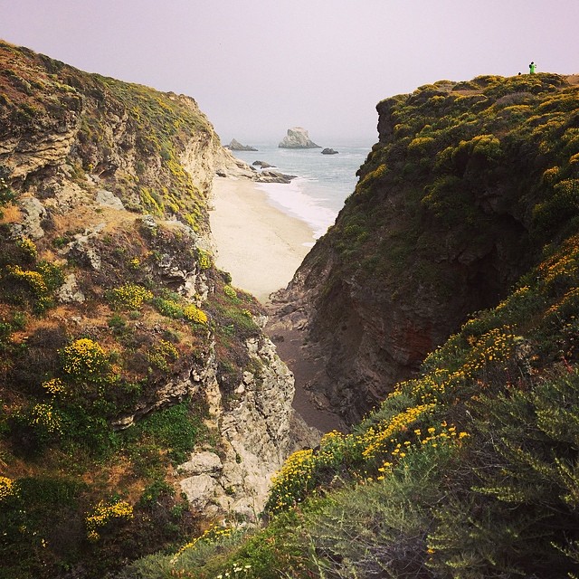 10362309_1396984977257336_1058316106_n