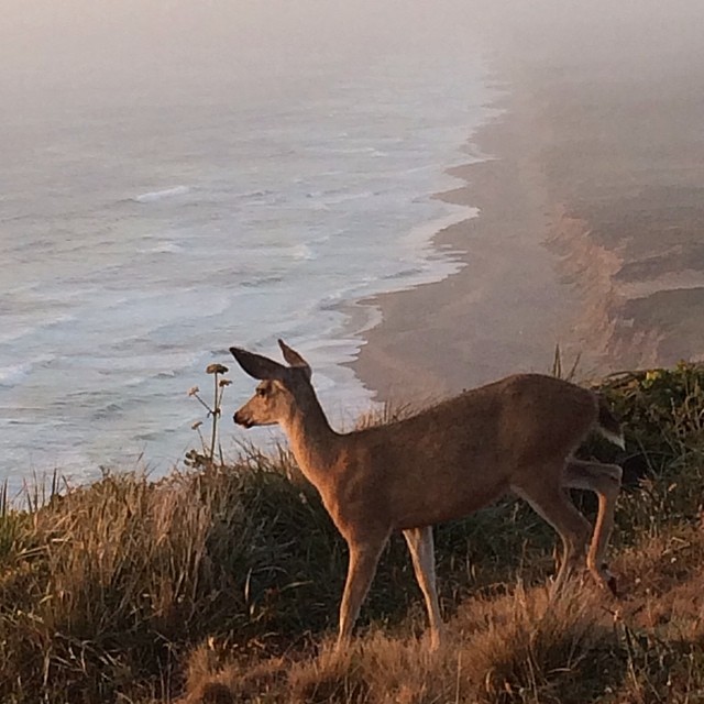 10375837_753991641291084_382731026_n