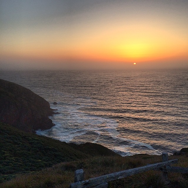 10401660_1444968392426305_1210674083_n