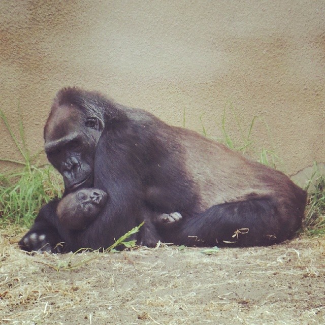 10413105_304119876430346_1645803184_n