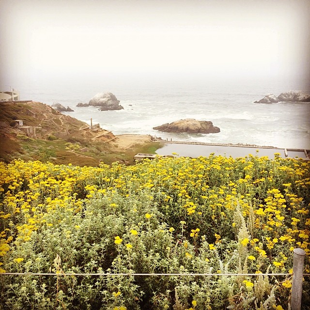 927323_836720849688659_543139762_n