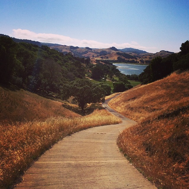 927673_649502238475959_981536497_n