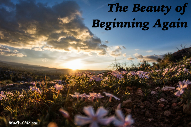 beauty of beginning again