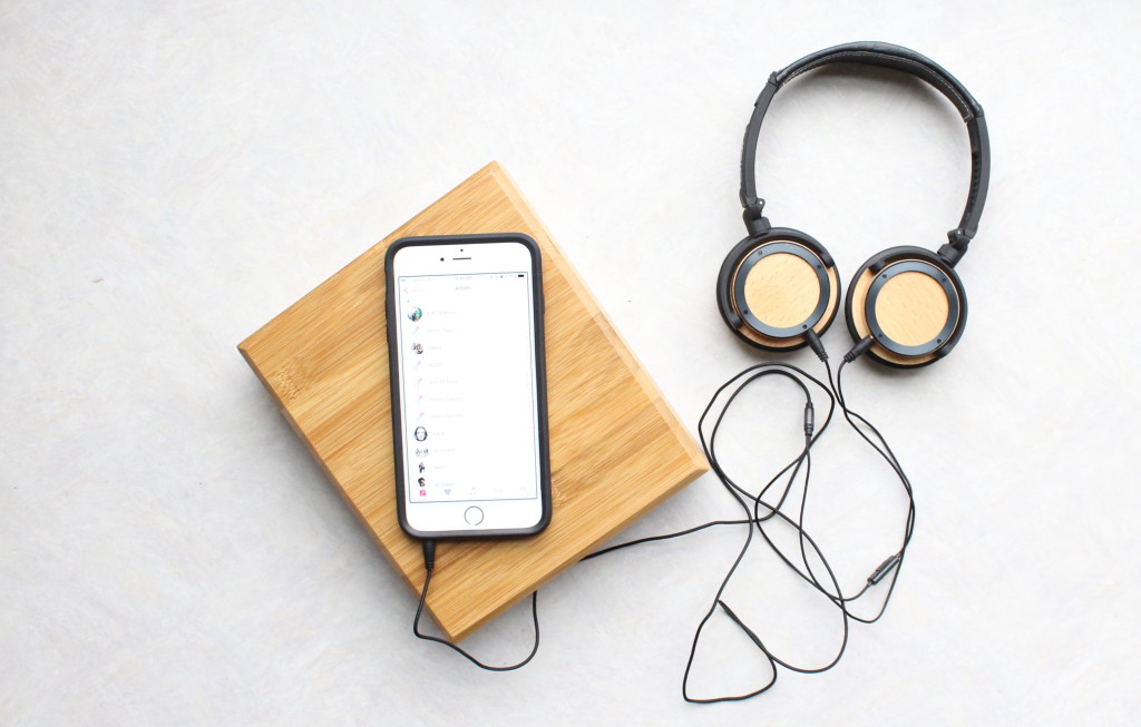 bigr-headphones-case